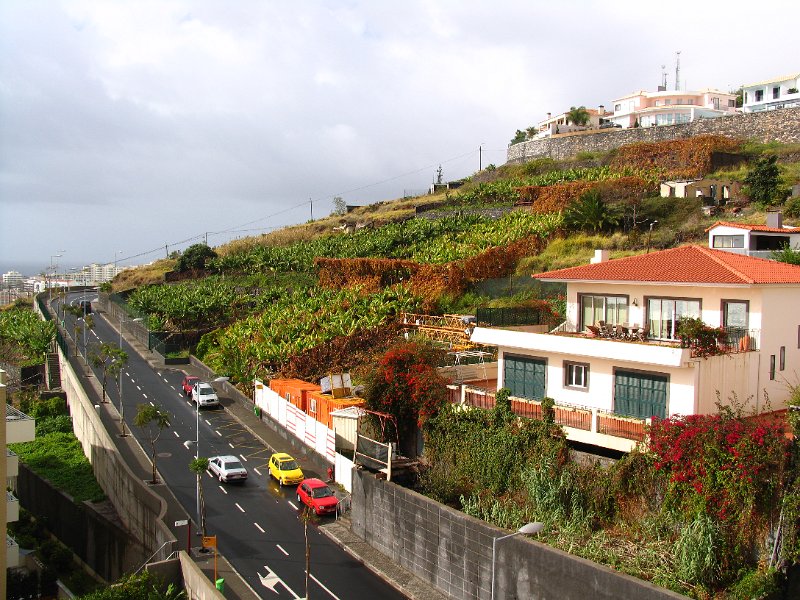 Madeira (95).jpg